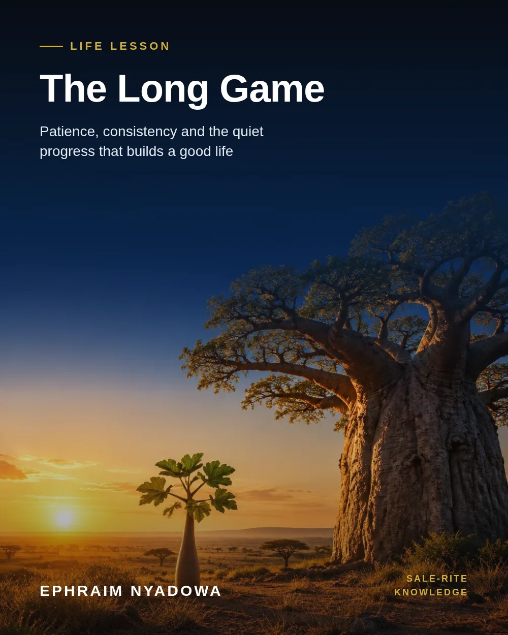 The Long Game cover